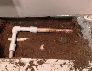 平乡测漏水哪家好